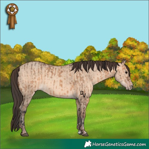 Horse Color:Brown Dun  and Sable Champagne Dun 