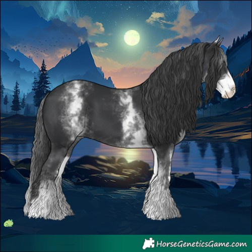 Horse Color:White Spotted Black