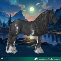 Horse Color:White Spotted Black