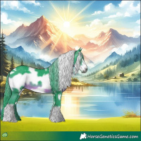 Horse Color:Gray Watercolor White Spotted Black Frame 
