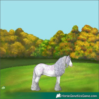 Horse Color:Watercolor White Spotted Silver Amber Champagne Ice Dun Splash 
