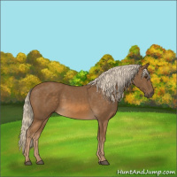 Horse Color:Chocolate Palomino 