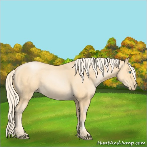Horse Color:Palomino Pearl Sabino 