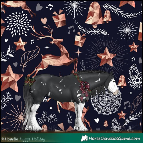 Horse Color:White Spotted Black Splash 