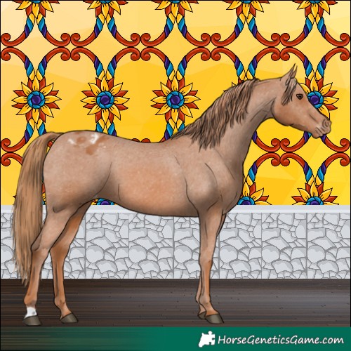 Horse Color:Chestnut Varnish 