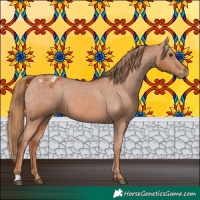 Horse Color:Chestnut Varnish 