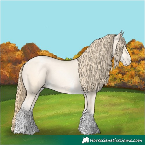 Horse Color:Buckskin Pearl Sabino 
