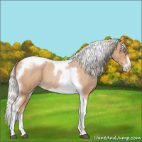 Horse Color:Silver Blue Roan Pearl Tobiano Frame 