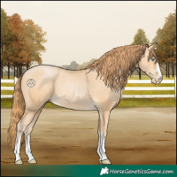 Horse Color:Buckskin Pearl 