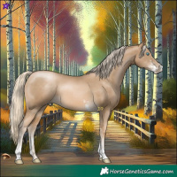 Horse Color:Chocolate Palomino Pearl Mushroom Sabino