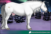 Horse Color:Grullo Roan Splash Tobiano Frame