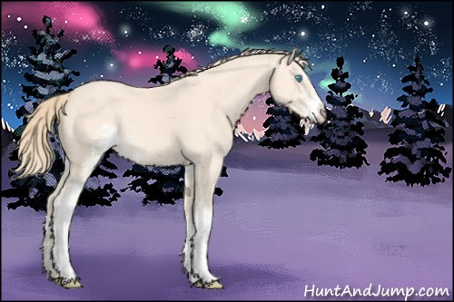 Horse Color:Perlino Sabino 