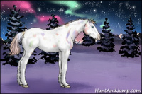 Horse Color:Nacre White Spotted Smoky Grullo Pearl Splash Tobiano 