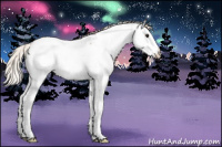 Horse Color:Silver Brown Dun Splash Appaloosa 