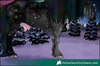 Horse Color:ERROR: UNKNOWN ANOMALY