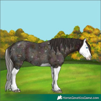 Horse Color:Midnight Bay Ice Splash 