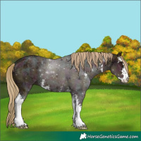 Horse Color:Midnight Chestnut Ice Sabino 