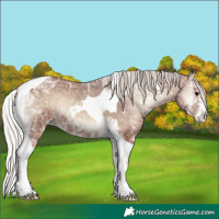 Horse Color:Silver Blue Onyx Ice Sabino Tobiano