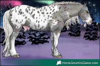 Horse Color:Midnight Silver Bay Ice Onyx Sabino Appaloosa