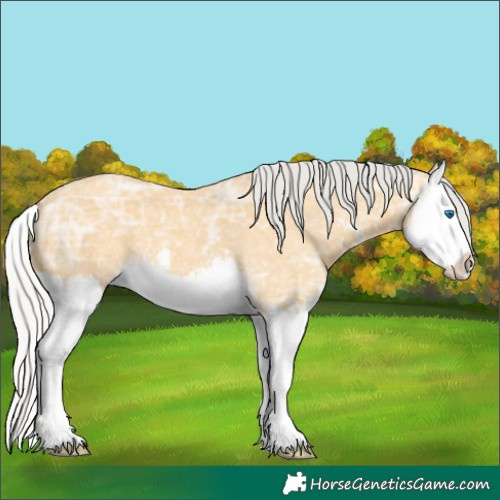 Horse Color:Silver Buckskin Ice Sabino Splash 