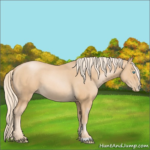 Horse Color:Palomino Pearl Sabino 
