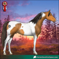 Horse Color:Buckskin Tobiano