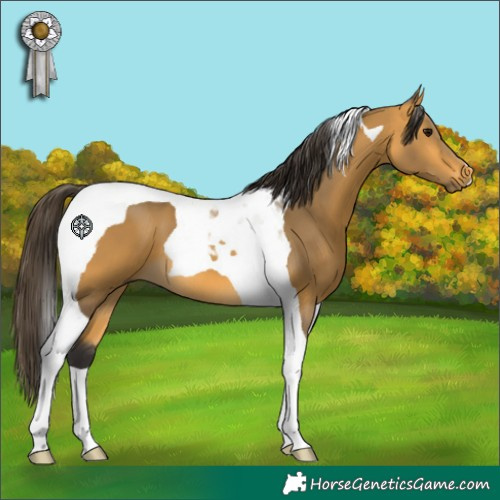 Horse Color:Buckskin Tobiano 