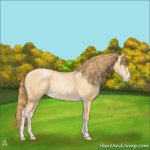 Horse Color:Smoky Black Pearl Sabino 