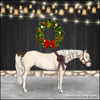 Horse Color:Palomino Pearl Sabino 