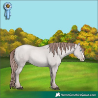 Horse Color:Platinum Grullo Snowdrop Pearl Splash