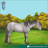Horse Color:Platinum Grullo Pearl Splash 