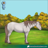 Horse Color:Platinum Grullo Snowdrop Pearl Splash 