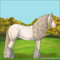 Horse Color:Buckskin Pearl Sabino 