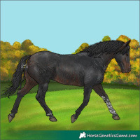 Horse Color:Bay Tobiano Rabicano