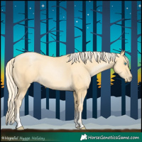 Horse Color:Palomino Pearl Sabino 