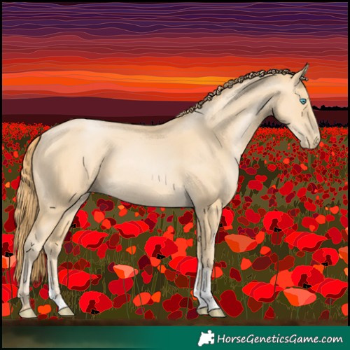 Horse Color:Buckskin Pearl Sabino
