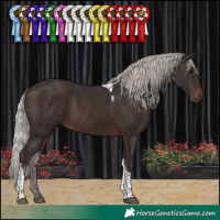 Horse Color:Silver Brown Tobiano 
