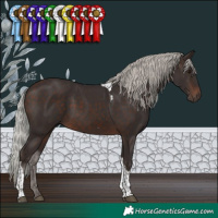 Horse Color:Silver Brown Tobiano
