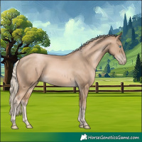 Horse Color:Chocolate Palomino Pearl Sabino