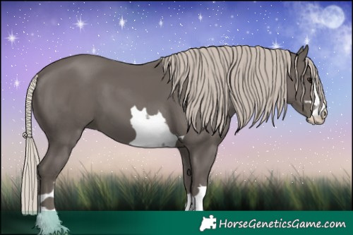 Horse Color:Silver Black 