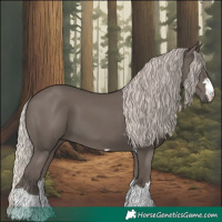 Horse Color:Silver Black 