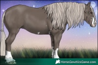 Horse Color:Silver Black 