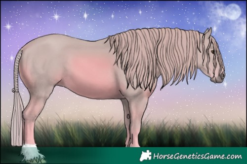 Horse Color:Watercolor Chestnut 