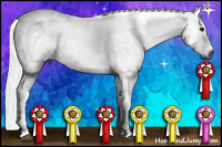 Horse Color:Gray Brown