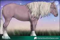 Horse Color:Watercolor Silver Black 