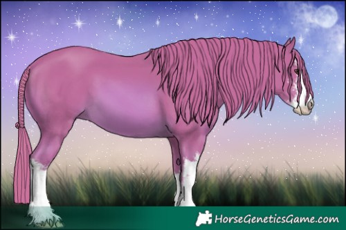 Horse Color:Watercolor White Spotted Chestnut 