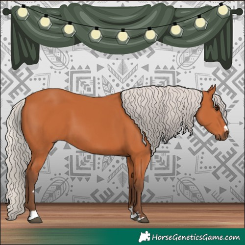 Horse Color:Silver Bay 