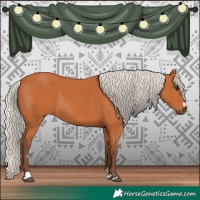Horse Color:Silver Bay 