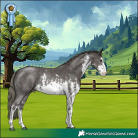 Horse Color:White Spotted Liver Chestnut Mushroom Sabino 