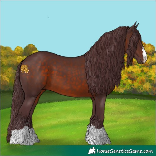 Horse Color:Chocolate Brown